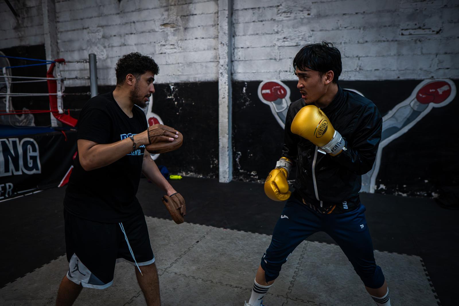 Travail aux pattes d'ours en boxe anglaise