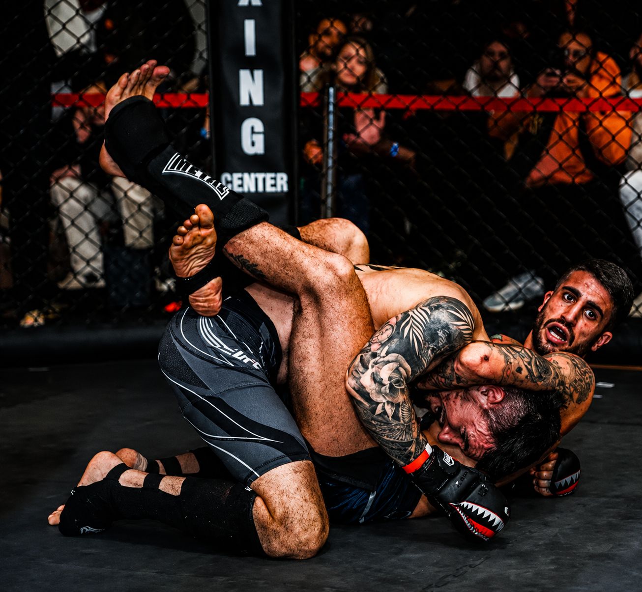 Cage MMA officielle et tatamis de grappling