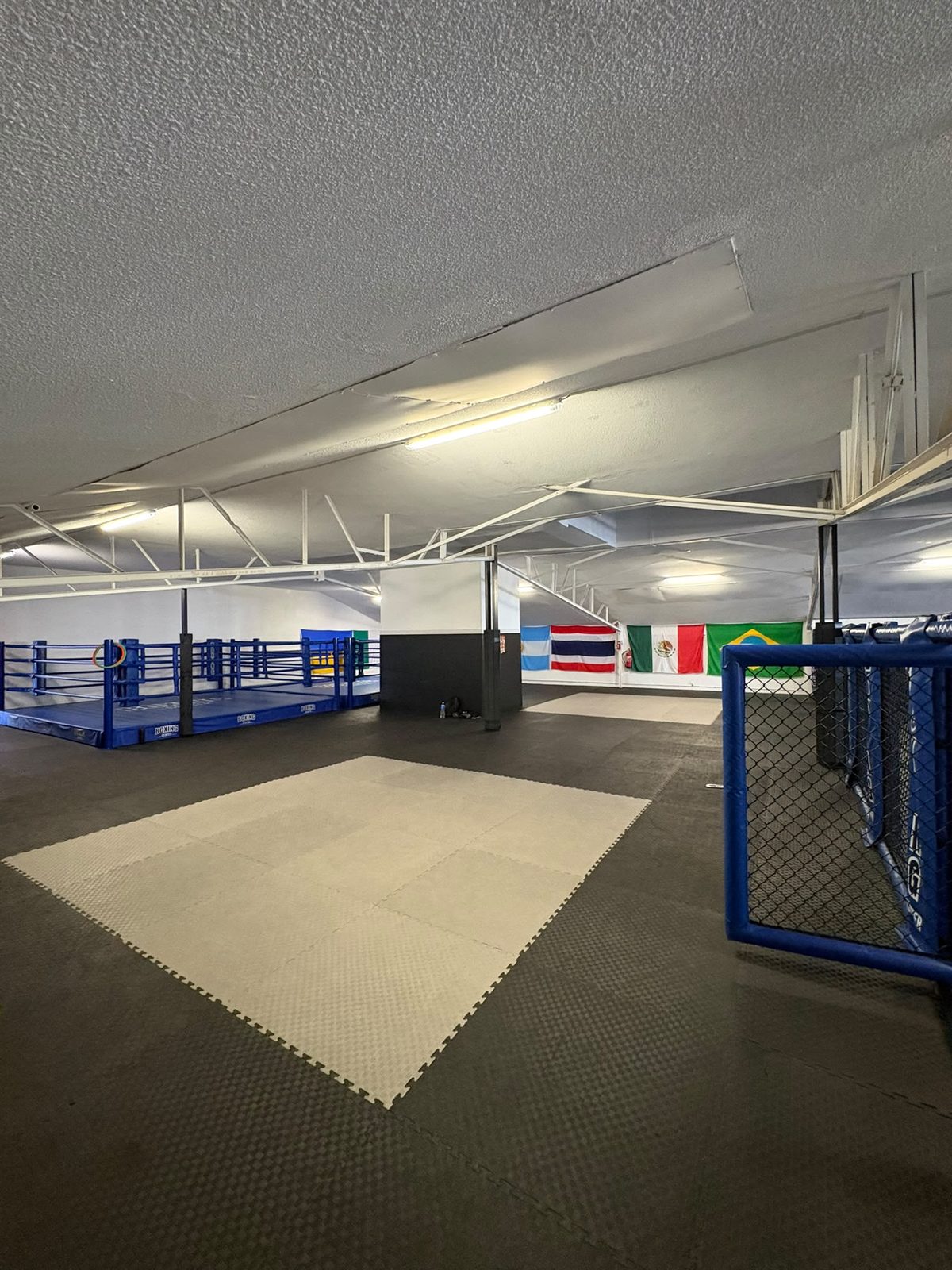 Ring de boxe dans la salle du Boxing Center Toulouse États-Unis