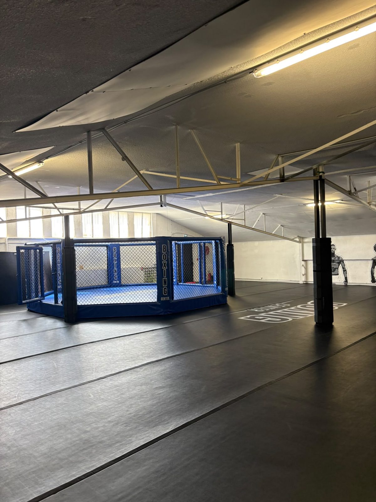 Cage MMA du club Boxing Center à Toulouse États-Unis