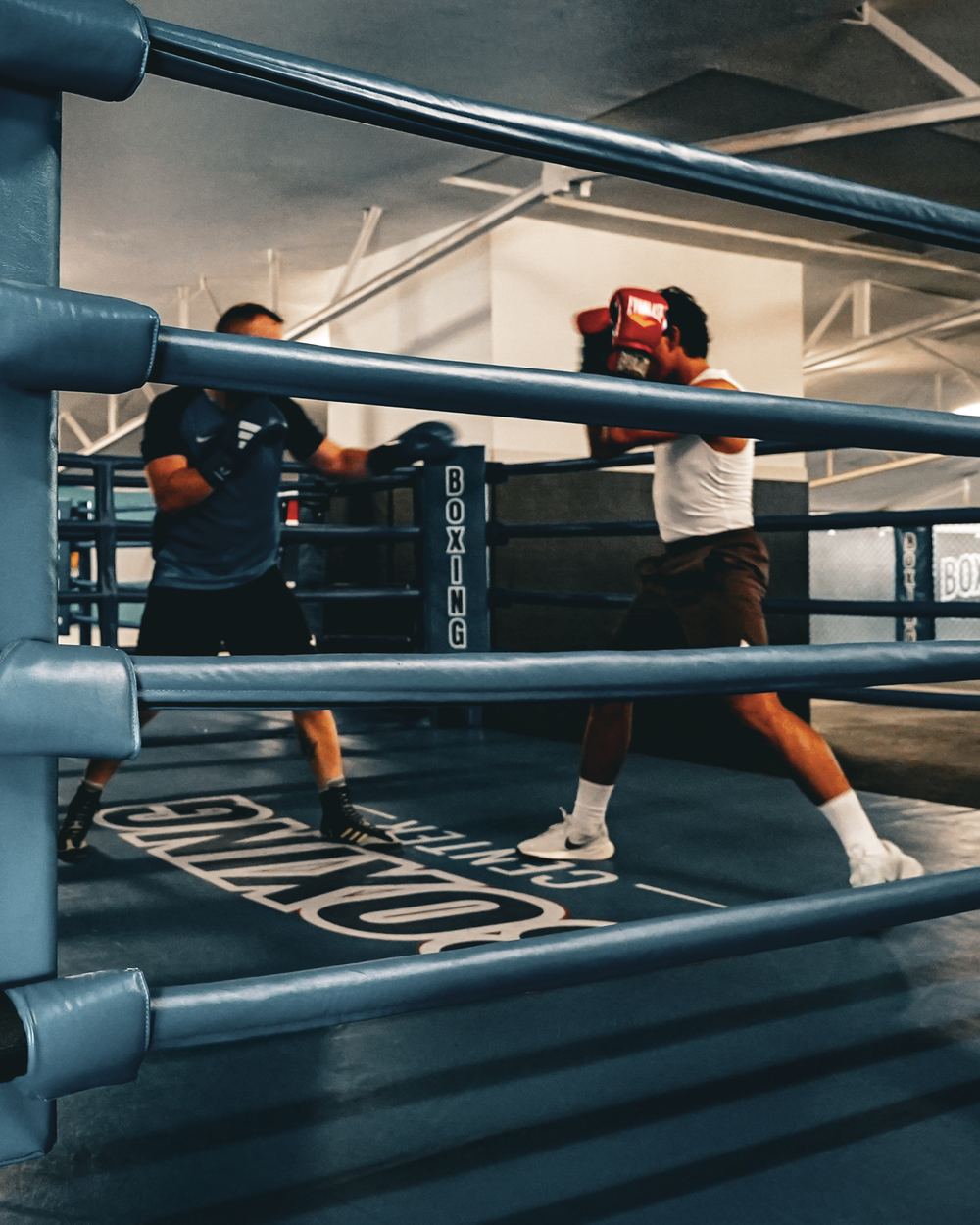 Deux boxeurs en sparring de boxe anglaise sur le ring du Boxing Center Toulouse États-Unis, vus entre les cordes